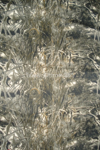 Ткань Маяк фтп (1146, ПА) под вопросом